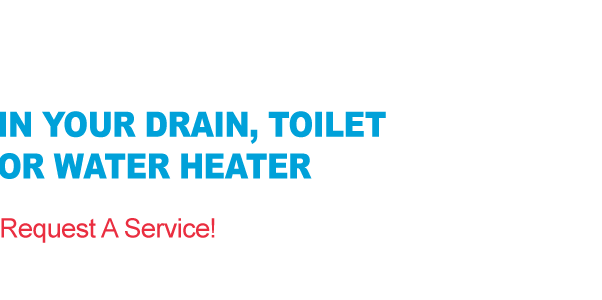 Repair Water Leaks